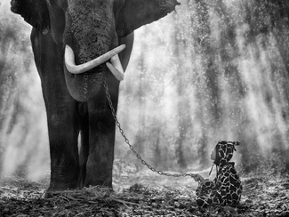 Chained But Bonded Chained But Bonded