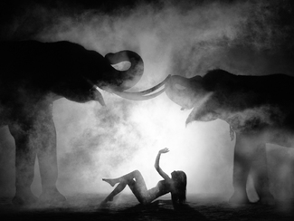 Final Performance Final Performance