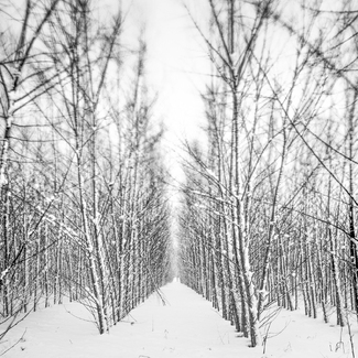 breaking the symmetrie breaking the symmetrie