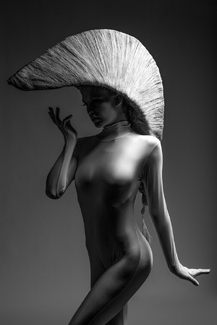 ginger avantgarde ginger avantgarde