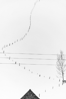 White Landscape White Landscape