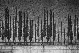 Duplication Duplication