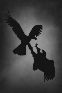 The Daliance of the Eagles The Daliance of the Eagles