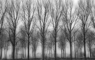 Les Uns Derričre les Autres Les Uns Derričre les Autres