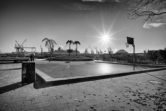 Winter Desert Winter Desert