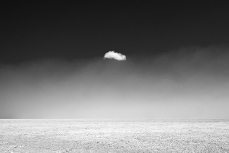 Cloudy Day in Etosha Cloudy Day in Etosha