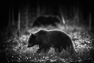 In Silence We Met In Silence We Met