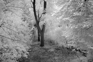 My Backyard My Backyard