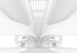 Under the Bridge Under the Bridge