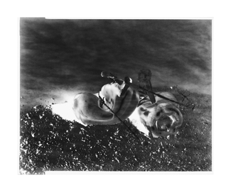 Natura Morta #021 Natura Morta #021