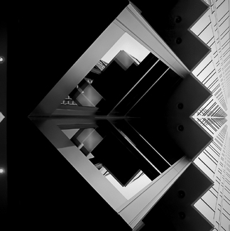 Forms Assembled In The Light Forms Assembled In The Light