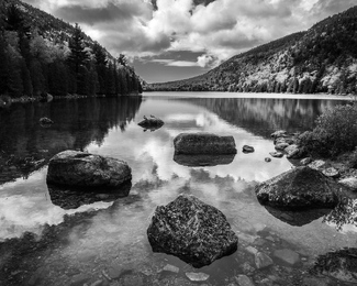 Stepping Stones Stepping Stones