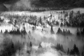 Morning Mists Morning Mists