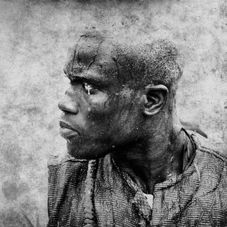 the Warrior the Warrior