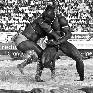 Battle Of Giants Battle Of Giants