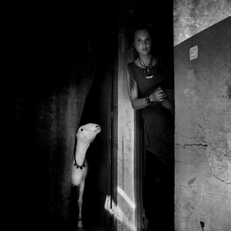 Martha And The Lamb Martha And The Lamb
