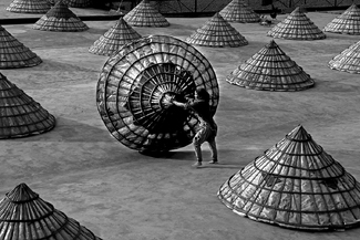 COVERING THE DRIED PADDY COVERING THE DRIED PADDY