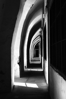 Sunlight to Freedom Sunlight to Freedom