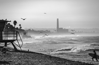 Ocean Birds Ocean Birds