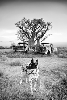 Exit Stage Left Exit Stage Left