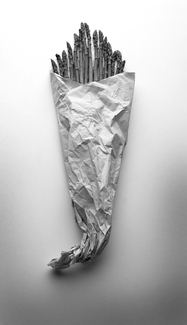 Asparagus on White Asparagus on White