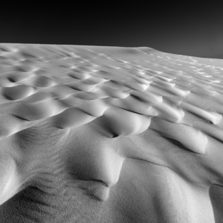 Dune 5