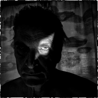 Self-Portrait 460 Self-Portrait 460