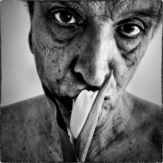 Self-Portrait 482 Self-Portrait 482