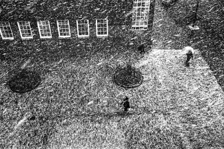 Starting Snow Shower Starting Snow Shower