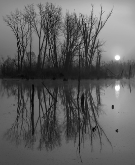 Reflected Verticality at Sunrise