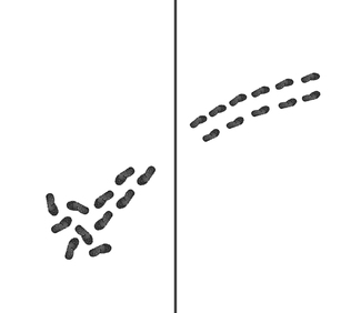 Wrong Way and Right Way Wrong Way and Right Way