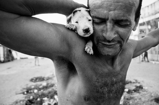 Man with Puppy at The Chocolate Factory Man with Puppy at The Chocolate Factory