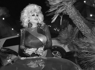 The Desert Royals The Desert Royals