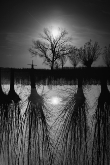 Drowned World Drowned World