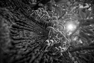 The Land Of Make Believe The Land Of Make Believe