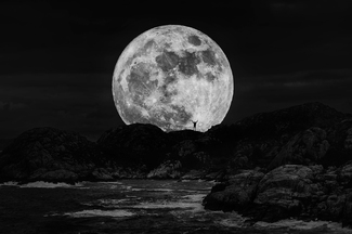 the man of the moon the man of the moon