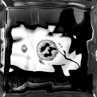 Can't stop me Can't stop me