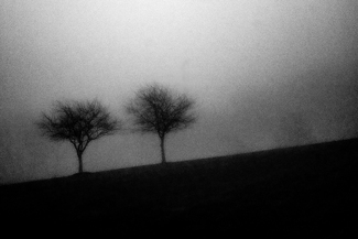 In the name of Leo In the name of Leo