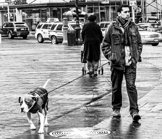 Opposing Viewpoints Opposing Viewpoints