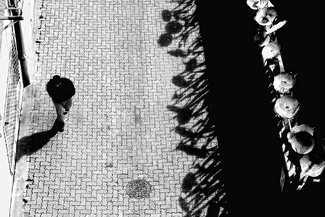 Prickly Things Prickly Things