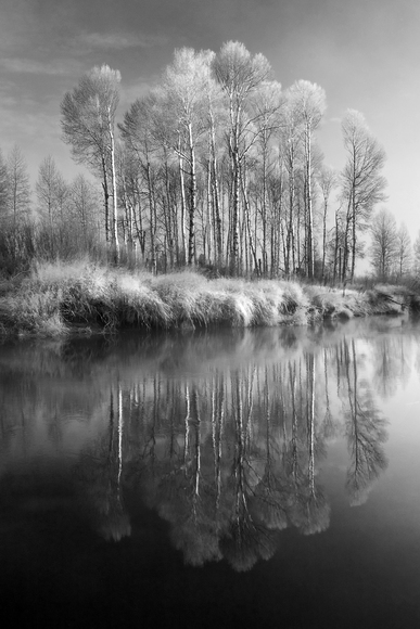 Sprague River Aspens Sprague River Aspens