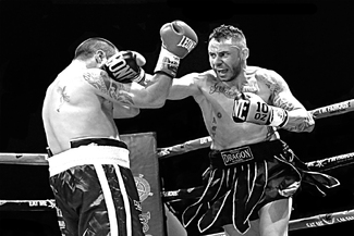 Golden Glory Golden Glory