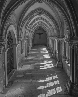 Guided by the Light Guided by the Light