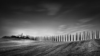 Poggio Covili - Road of Candles Poggio Covili - Road of Candles