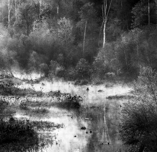 The Little Glen in the Morning Mist with Reflection The Little Glen in the Morning Mist with Reflection