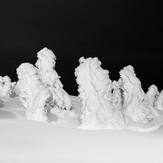 Snow Monsters Snow Monsters