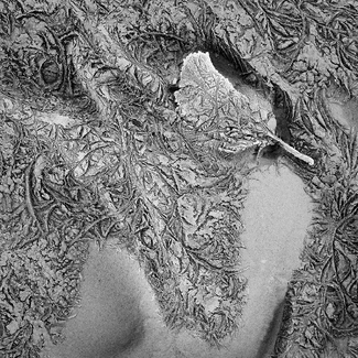 das letzte Blatt das letzte Blatt