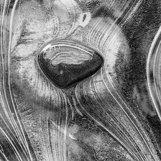 eingefrorenes Herz eingefrorenes Herz