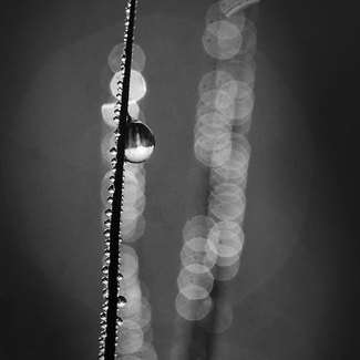 früh am Morgen früh am Morgen