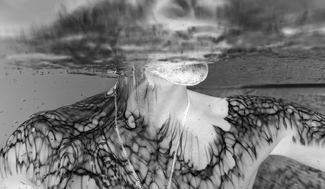 paint it, black paint it, black